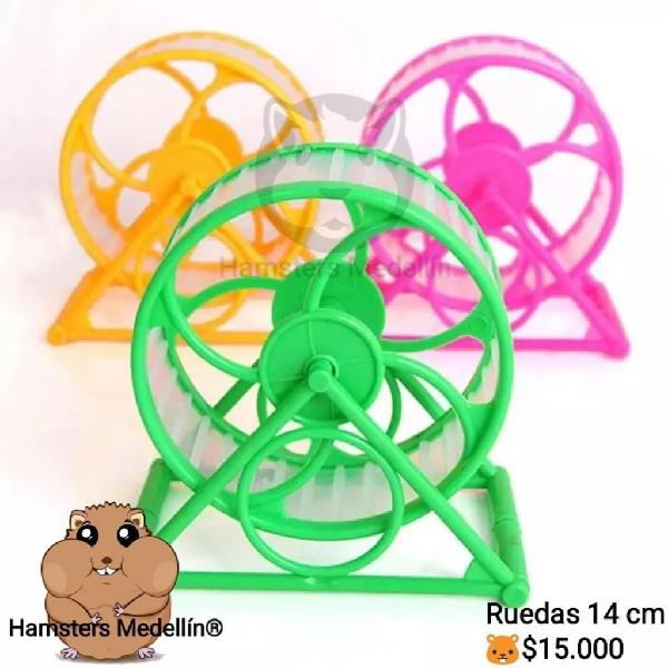 Rueda Hamster