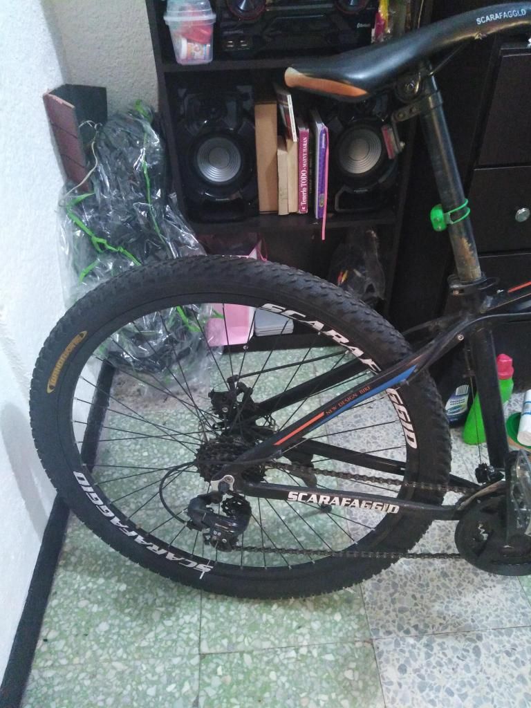 Vendo cicla marca scarafaggiorin 29