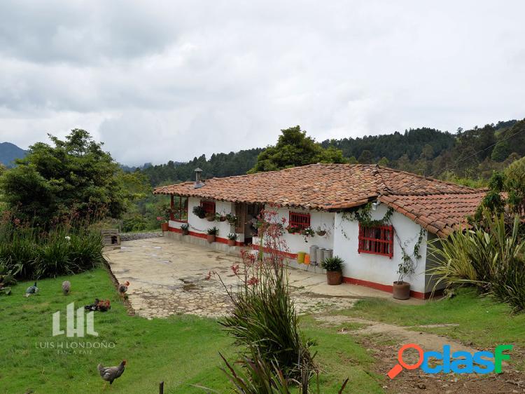 Finca sector Variante Las Palmas Aeropuerto