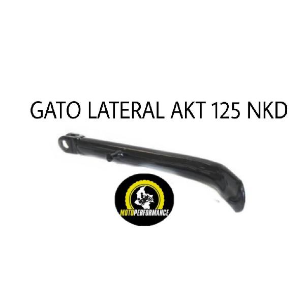 Gato lateral AKT 125 NKD