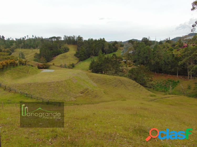 Lote en venta, en la vía don diego la ceja.