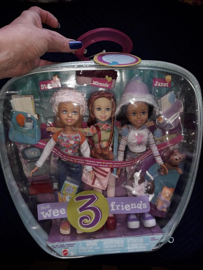 Barbie Amigas Mascotas Diversión Wee 3 Friends Mattel