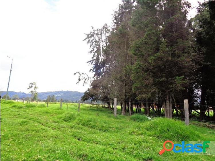 Venta de Lote en la Mesa Cundinamarca