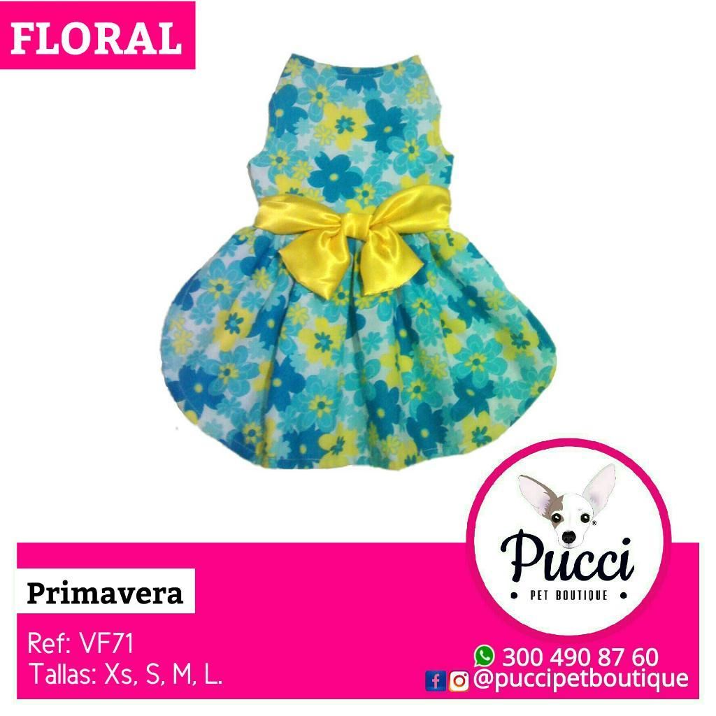 Ropa Y Accesorios para Mascotas