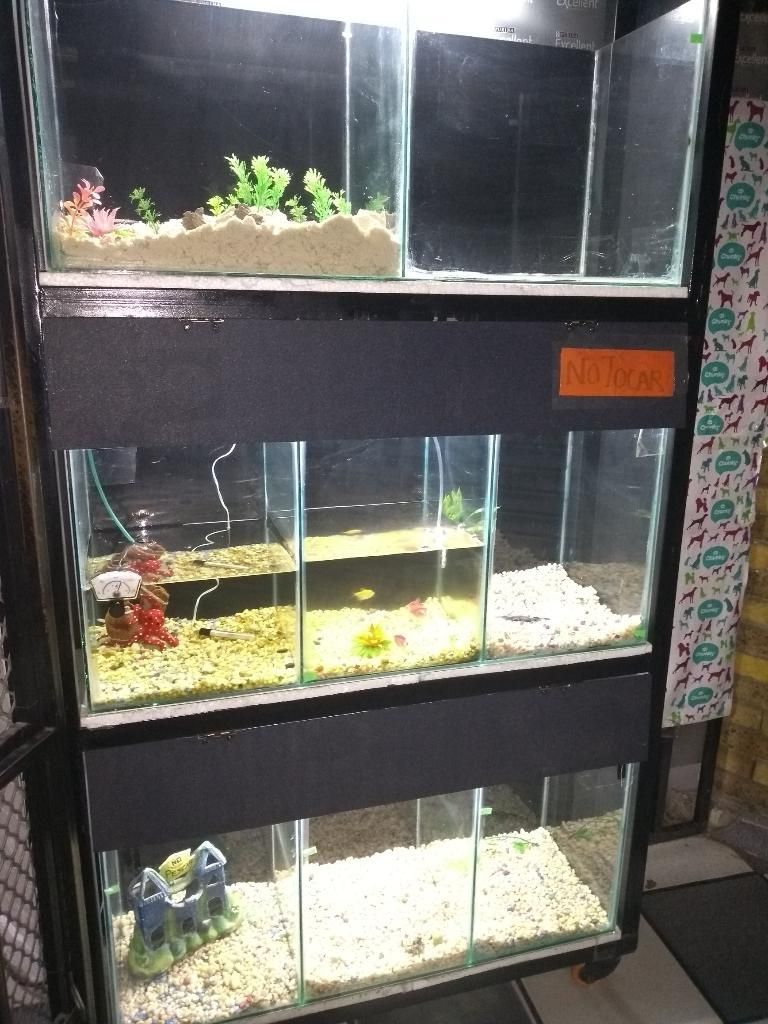 Venta de Acuario