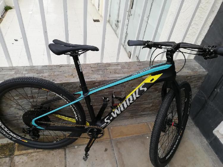 Bicicleta S-works en Carbono