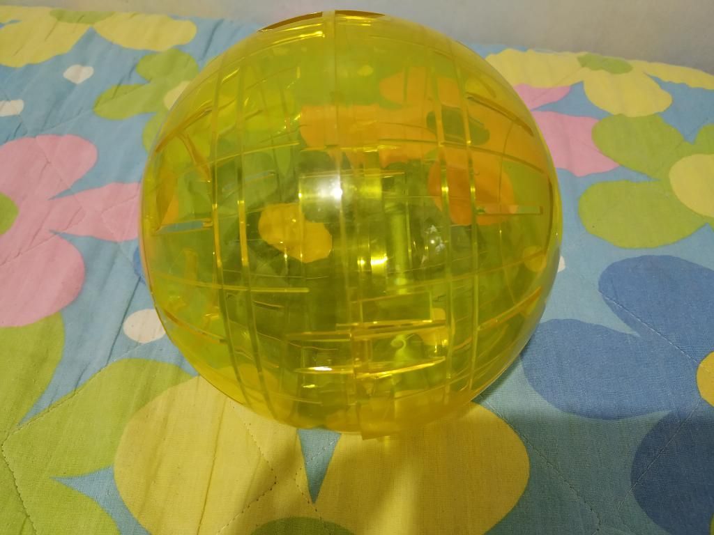 Bola Esfera para Hamster