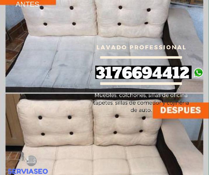 Lavado de Muebles Ibagué Domicilio