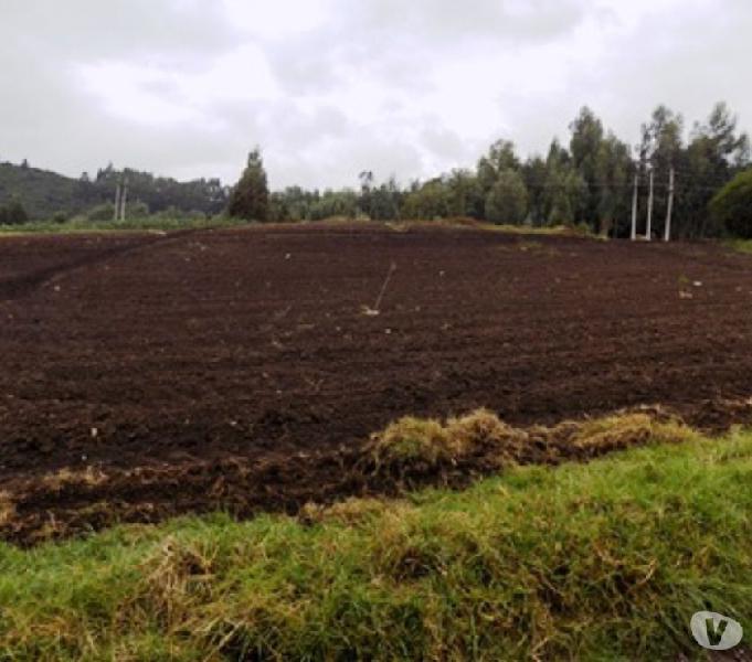 SE VENDE FINCA 6 FANEGADAS EN SANTA ROSA DE VITERBO