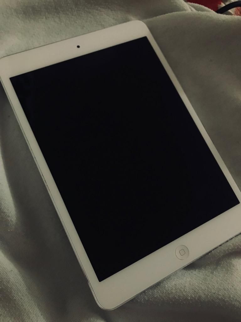 iPad Mini