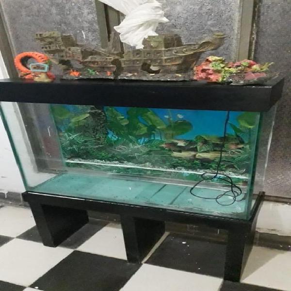 Acuario Se Vende barato