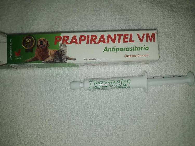 Antiparasitorio Oral para Mascotas