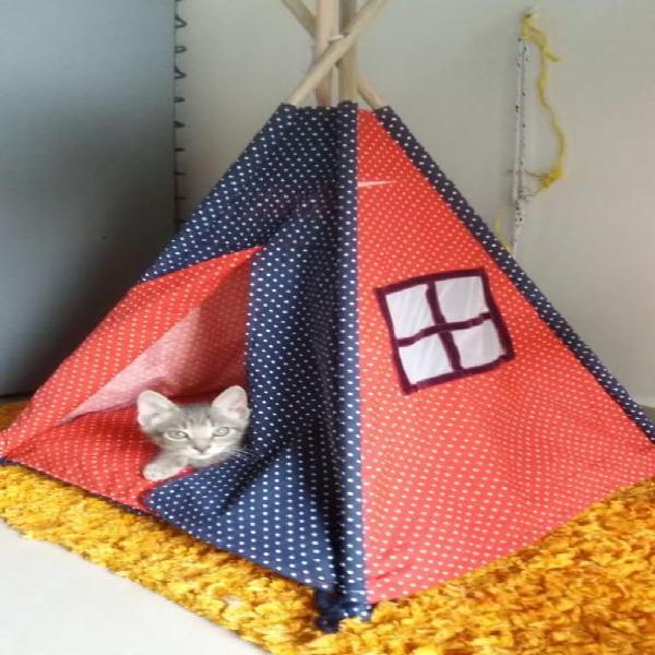 Casa para Perros O Gatos