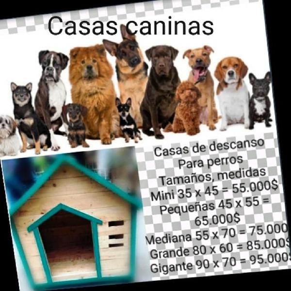 Casas para Perros