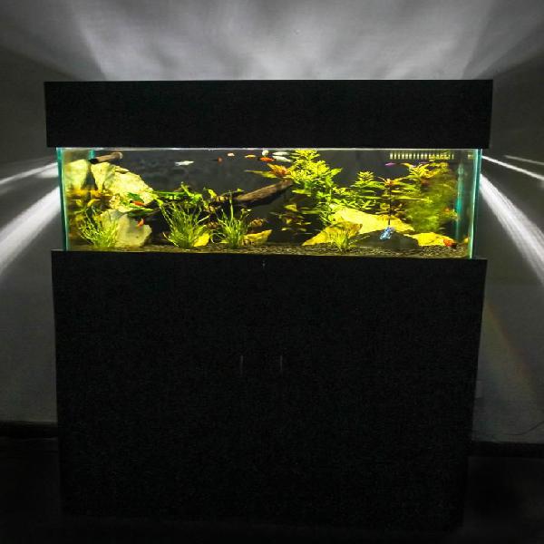 Pecera Acuario Personalizados Peces Filtro Luces Asesoría