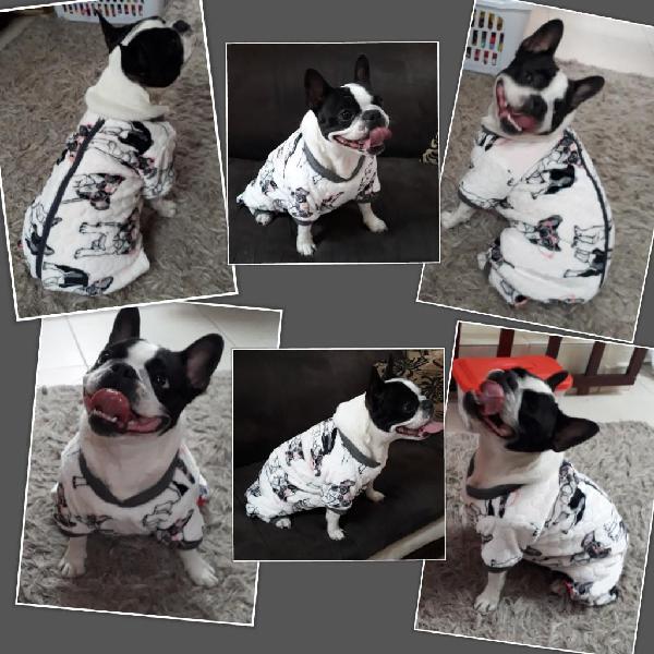 Ropa Hermosa para Mascotas