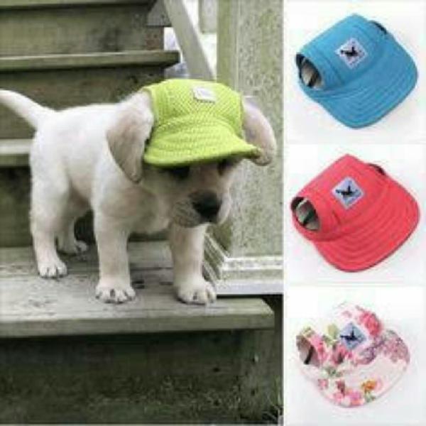 Se Venden Gorras para Perro