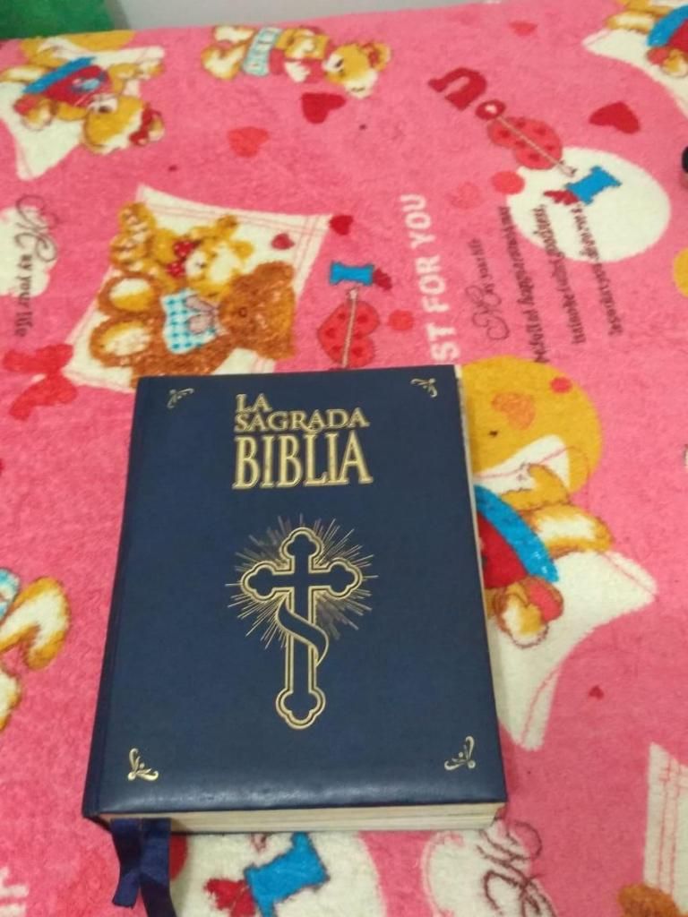 biblia catolica grande