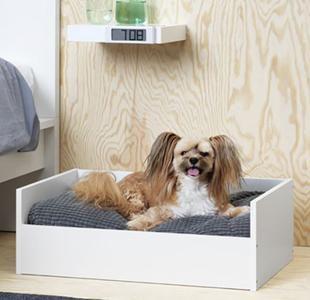camas para perros en madera diseño novedad