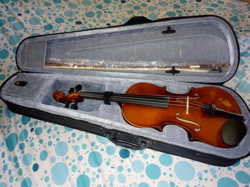 vendo violín