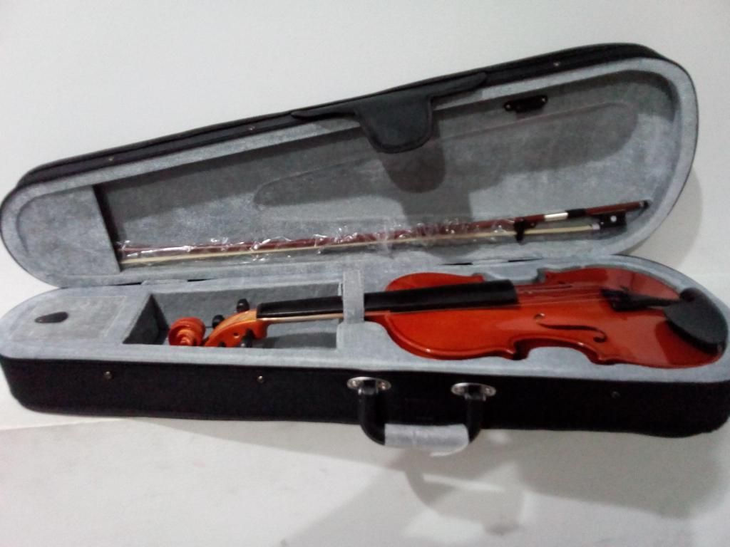 violín importado marca NATHAN MILSTEIN estuche semiduro pez