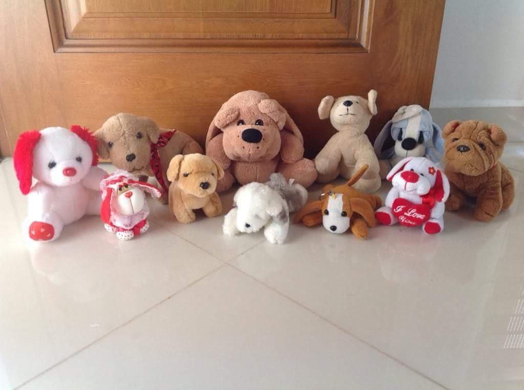 Perros de Peluche Lote