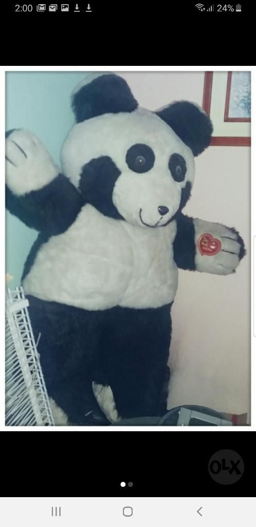 Se Vende Oso Panda