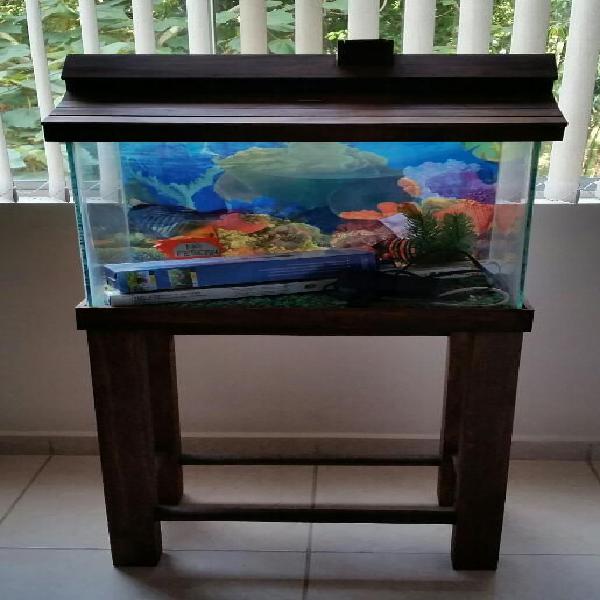 Acuario de Peces