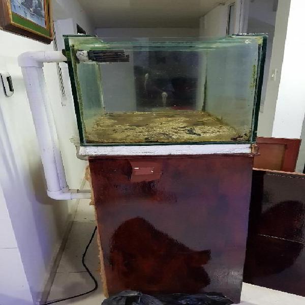 Vendo O Cambio Acuario Tipo Marino