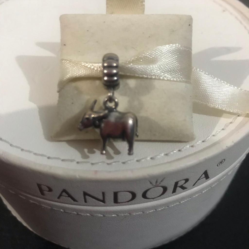 Charm pandora