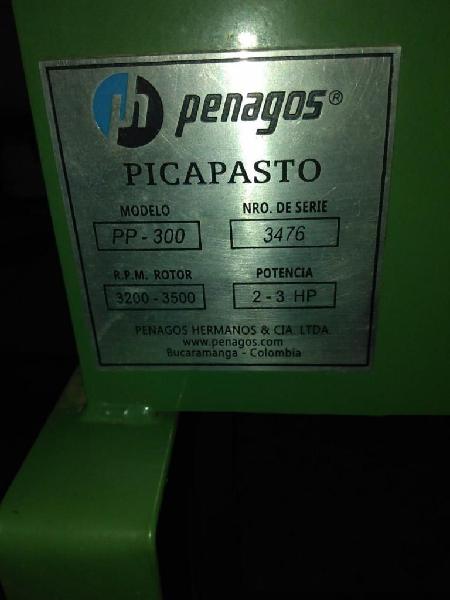 Picapasto Penagos Pp300 con Motor Gasoli
