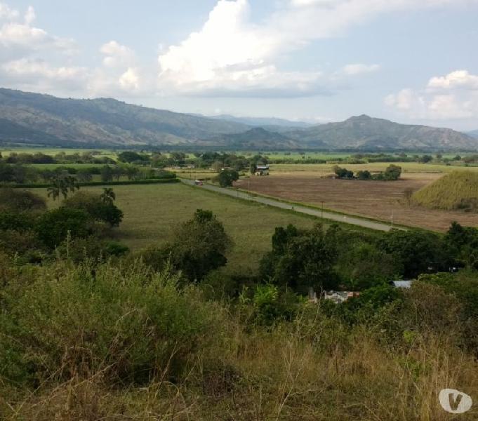 Venta finca a media hora de Tulúa, sobre carretera!