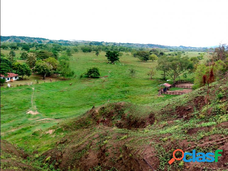 FINCA GANADERA A BUEN PRECIO EN PUERTO BOYACÁ