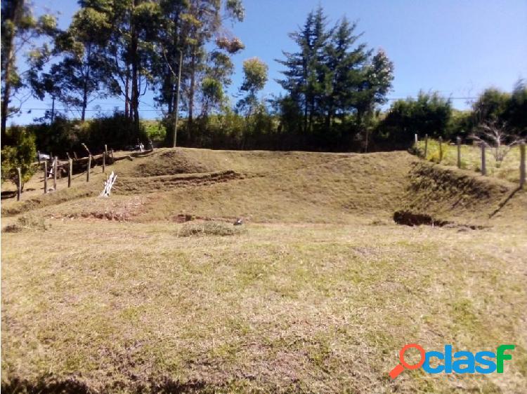 LOTE EN RIONEGRO 5 MIL MTS 195 MILLONES