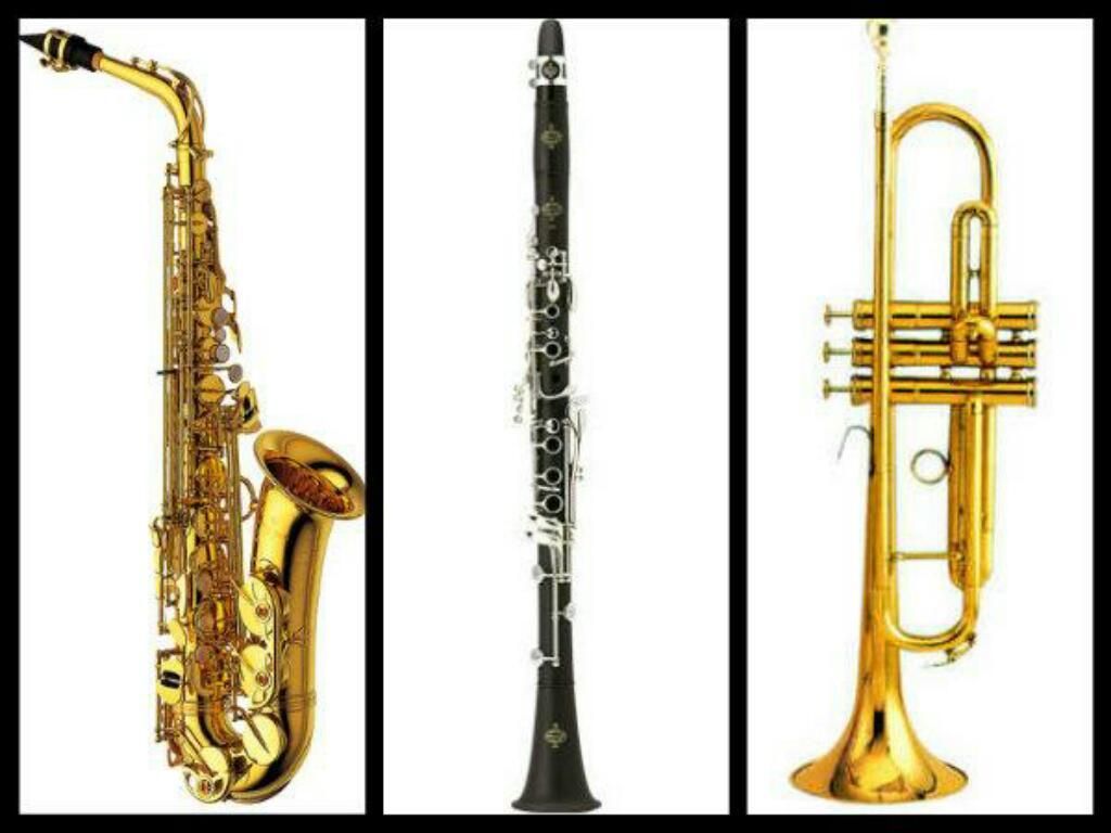 Clases de Saxofon Clarinete Trompeta Etc