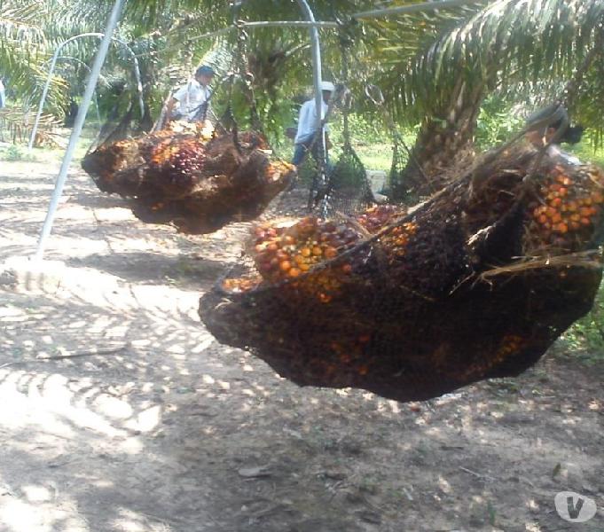 Hacienda De Con 2.878 Hectáreas En Sabana De Torres.