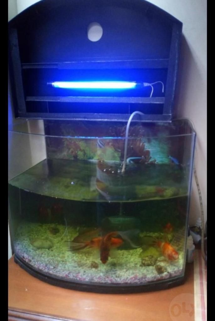 Se Vende Acuario