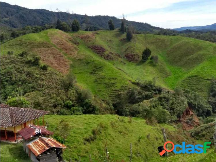 Finca en venta Abejorral Antioquia