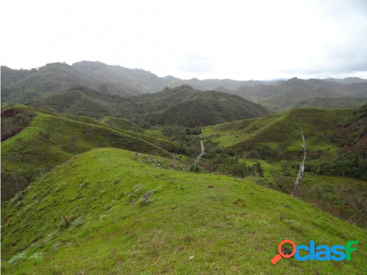 Finca en venta para aguacate concepción ANT