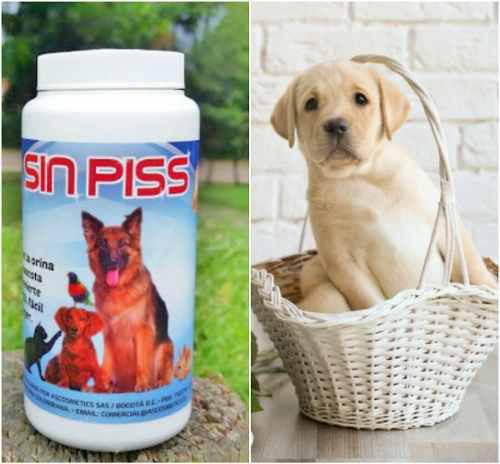 Absorbente De Orina Perro Gato Mascotas, Sinpiss