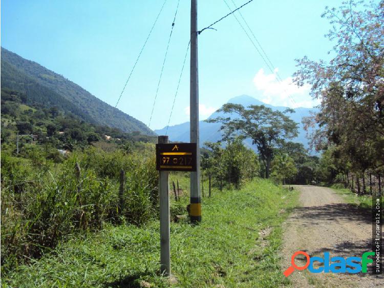 Lote / Terreno Suroeste Antioqueño Codigo PAR_492