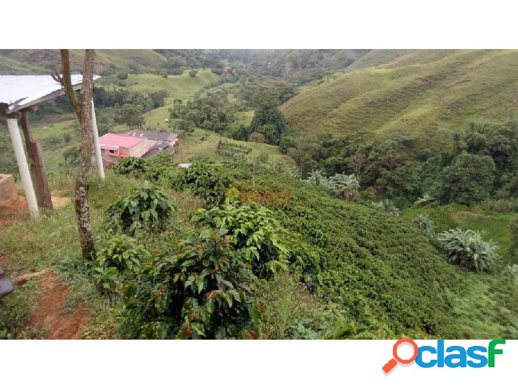 Se vende finca en Betulia, Suroeste Antioqueño