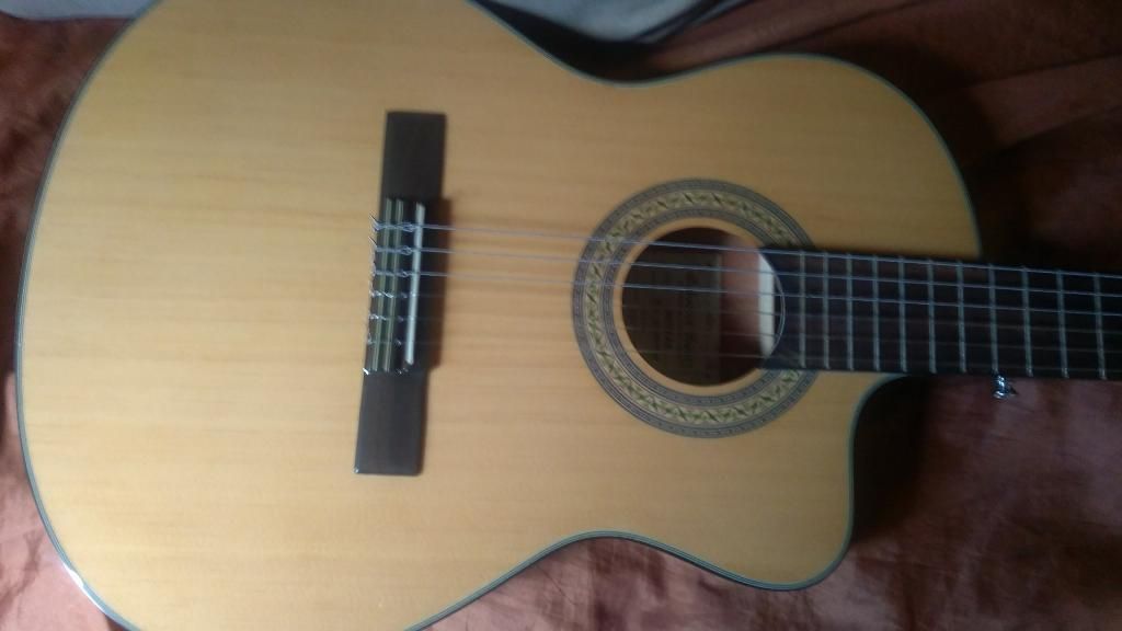 Ibanez Nylon