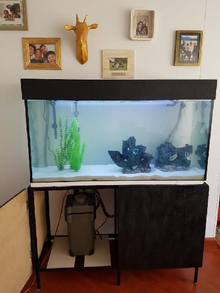 Acuario Pecera 120x40x60