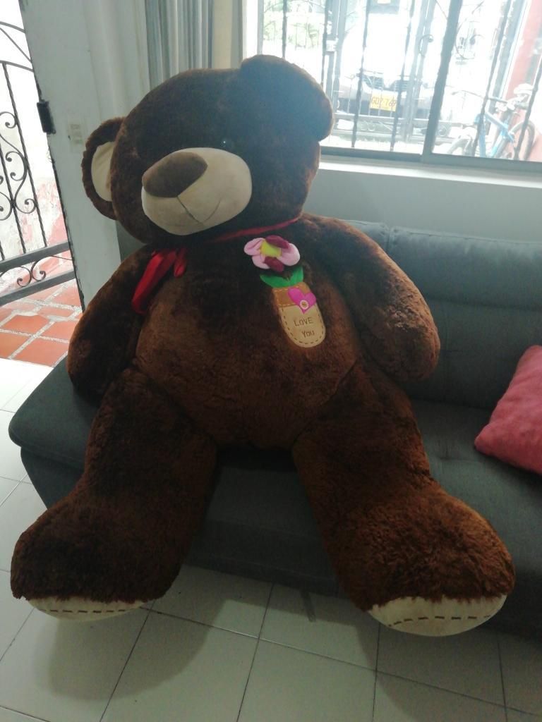 Oso de Peluche