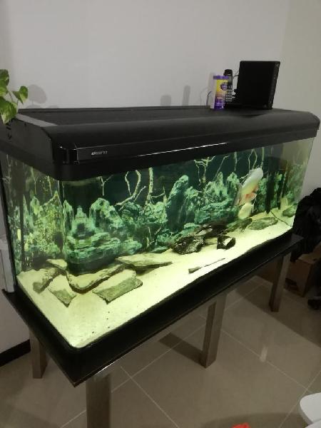 Vendo Acuario Importado de 510 Litros