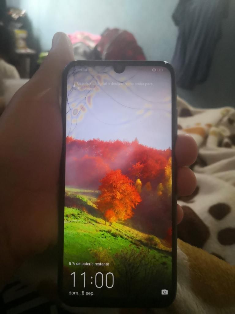 Vendo Honor 10 Lite