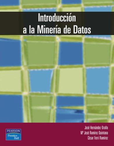Introducción A La Minería De Datos(libro Teoría De Bases