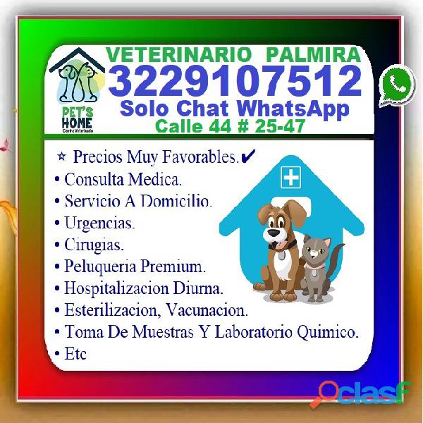 ⭐ VETERINARIO PALMIRA, Veterinaria, Esterilizacion,