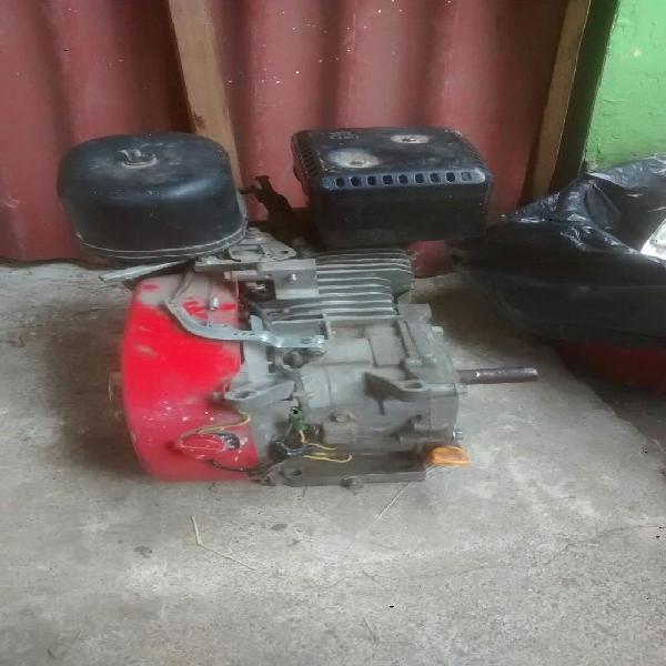 Motor 6.5 Hp para Reparar